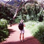 Ryan Hines - @ryanhiness - Instagram