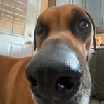Ryan Hocking - Facebook