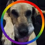 Ryan Hockings - @ryan.hockings - Instagram