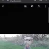 Ryan Hoehn - @ryanhoehn0 - TikTok