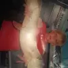 ryanhoffart883 - @ryanhoffart883 - TikTok