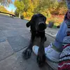 Ryan Hoffman - @ryanhoffman507 - TikTok