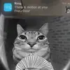 ryanhoff1020 - @ryan._.hoffman1 - TikTok