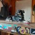 Ryan Hoisington - Facebook