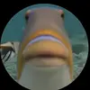Ryan_Hoke15 - @ryan_hoke15 - TikTok