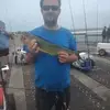 ryanholley53 - @ryanholley53 - TikTok