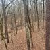 Ryan Holliman - Facebook