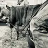 ryan_holton5 - @ryan_holton5 - TikTok