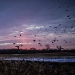 Ryan Holton - Facebook