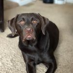 Ryan Holtz - @holtz7453 - Instagram