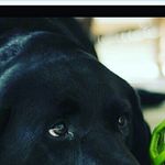 matthew,ryan,hornsby,jr - @mj_the_beast - Instagram
