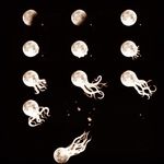 Ryan Hornsby - @rhornsby303 - Instagram