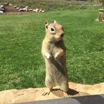 Ryan Horst - @misterhorsty - Instagram