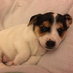 Ryan Hoskins - @ryan_hoskins2002 - Instagram
