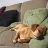 Ryan Hosler - @ryryhos - TikTok