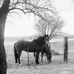 Ryan Hostetler - Facebook
