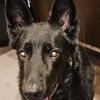 Ryan Hostetler - @ryan.hostetler7 - TikTok