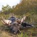 Ryan Hostetler - Facebook