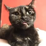 Ryan Howarth - @ryan.howarth.543 - Instagram