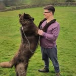 Ryan Howarth - @ryan.howarth.89 - Instagram