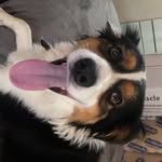 ryan howarth smith - @ryanhowarthsmith - Instagram