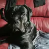 Ryan howes - @ryanhowes1874 - TikTok