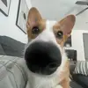 ryanhoweth - @ryanhoweth - TikTok