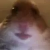 Ryan Hoyle788 - @ryanhoyle6 - TikTok