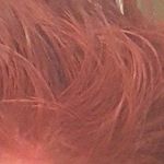 GxDS - @ryan_hulbert_ - Instagram