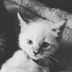 Ryan Humberto - @ryan.humberto.948 - Instagram