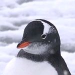 Ryan Hunsberger - @ryan__h8484 - Instagram