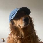 Ryan Hutton - @ryanhutton__ - Instagram