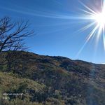 Ryan Hutton - @ryanhutton36 - Instagram