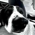 ryan - @ryan_hyland_ - Instagram