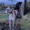 ryan hynes - @ryan.hynes0 - TikTok