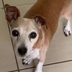 Ryan hyslop - @rhyslop - Instagram