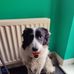 Ryan Hyslop - Facebook