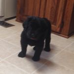 Ryan - @ryan_ickes - Instagram