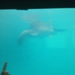 Ryan - @ryan_irby_9 - Instagram