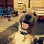 Ryan Ireland - @ryan.ireland.7731 - Instagram