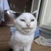 Ryan Isham579 - @isham879 - TikTok