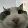 Ryan Jacoby - @ryan.jacoby6 - TikTok