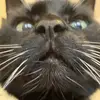 Ryan - @ryanjardine1 - TikTok