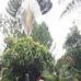 Ryan Jaspher Valderama - Facebook