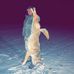 Ryan Jaster - Facebook
