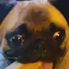 Ryan - @ryanjensen852 - TikTok