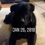Ryan jernigan - @rjernigan123412 - Instagram
