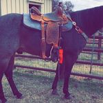 Ryan Jernigan - @jerniganryan - Instagram