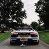 Ryan Jervis - @ryanjervis72 - TikTok