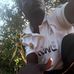 Ryan John - Facebook